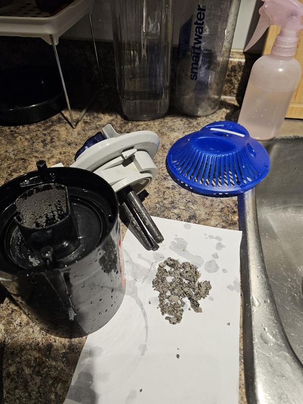 Calcium removed from inside the heater.