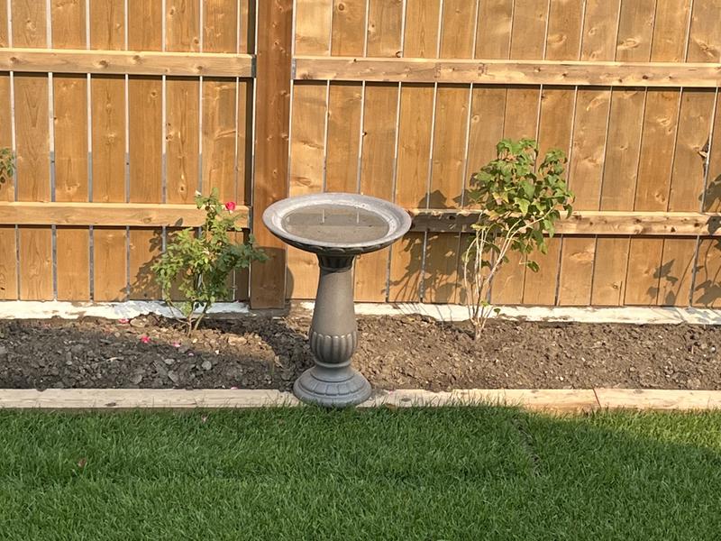 Photo - commentaire&nbsp;3.