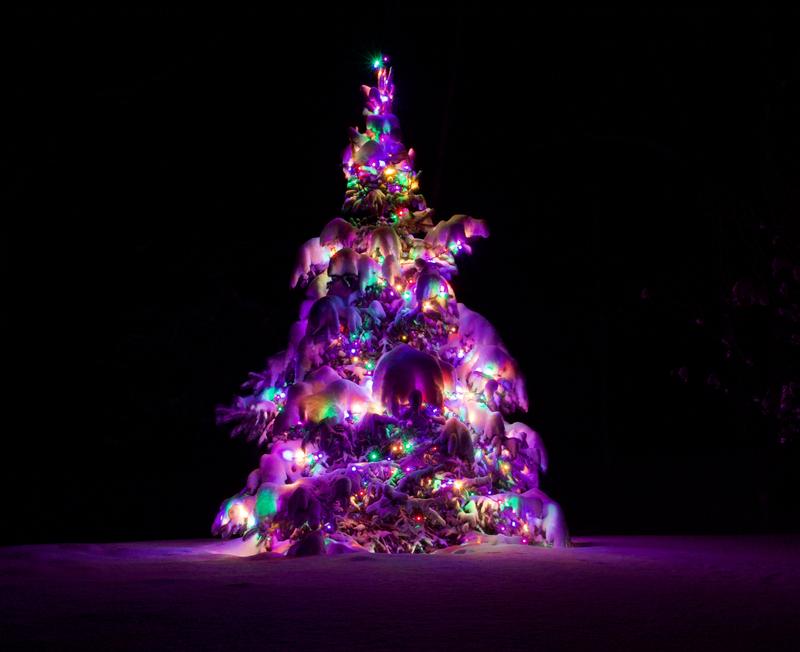 Photo - commentaire 1.