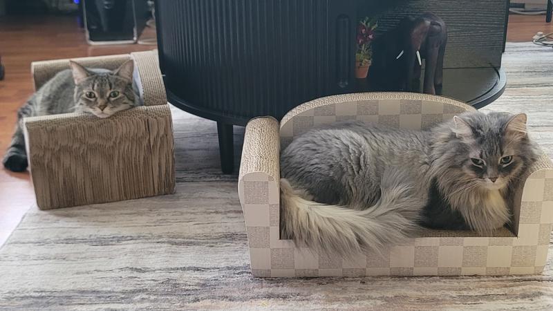 Photo - commentaire&nbsp;2.