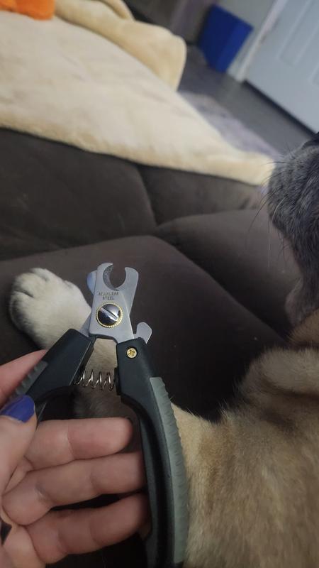 Photo - commentaire&nbsp;1.