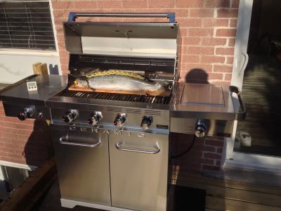 4lb Salmon, approx 30" long