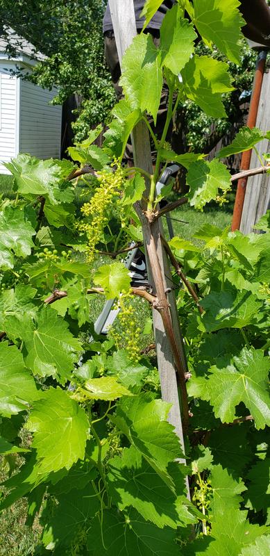 Photo - commentaire&nbsp;3.