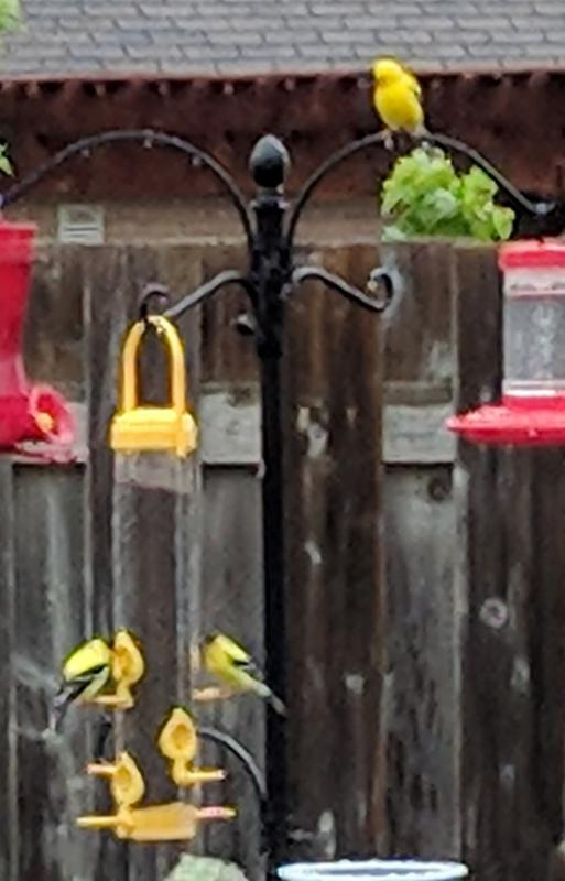 Photo - commentaire 4.