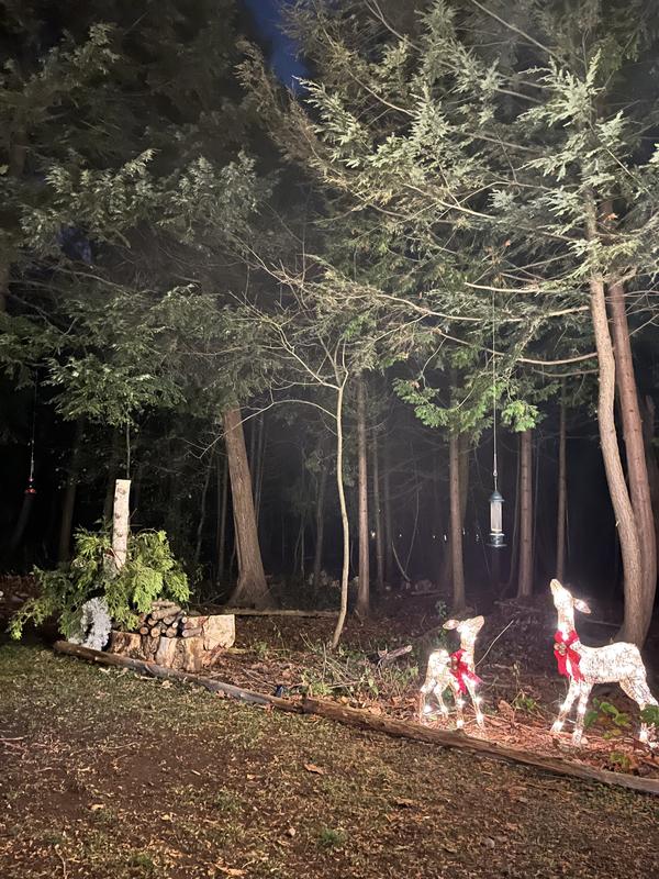 Photo - commentaire&nbsp;8.