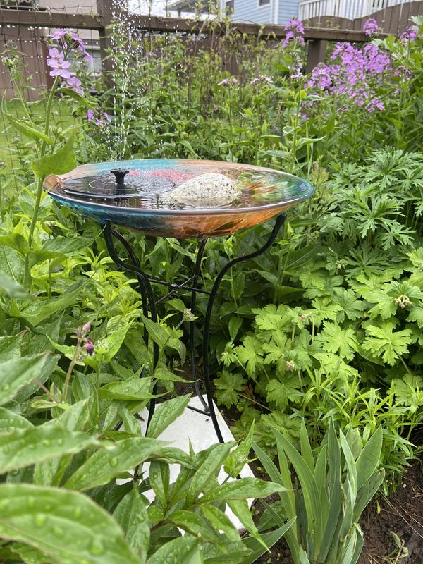 Photo - commentaire&nbsp;8.