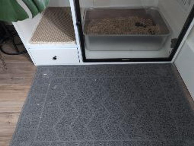 Photo - commentaire 5.