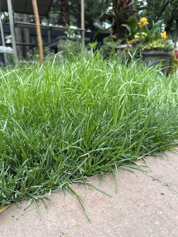 Photo - commentaire 2.