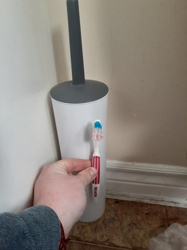 Toothbrush for scale