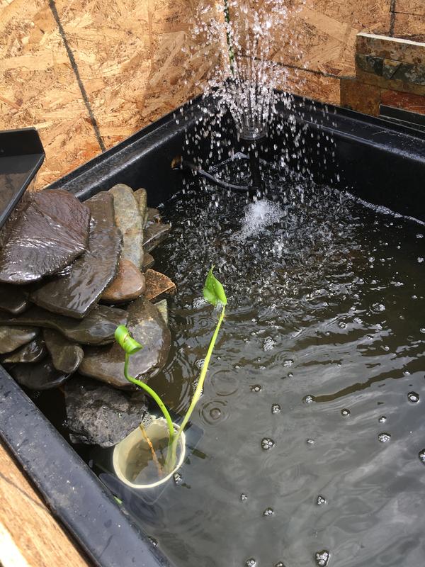 Photo - commentaire 1.