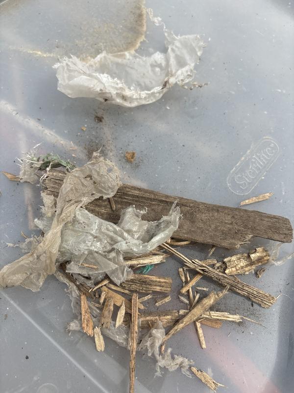 Photo - commentaire 1.