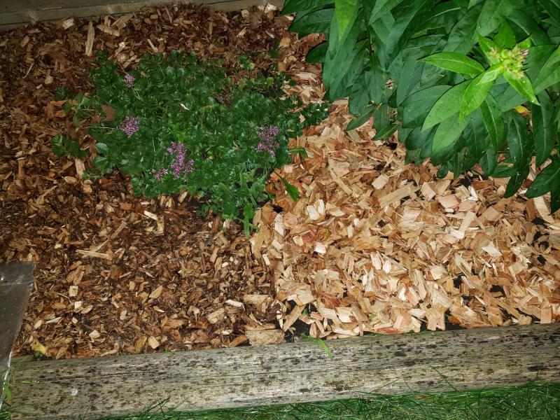 Bought the same bags / same product code but resulted in 2 different products - left side appears to be mulch and right side is straight cedar chips (what I wanted).