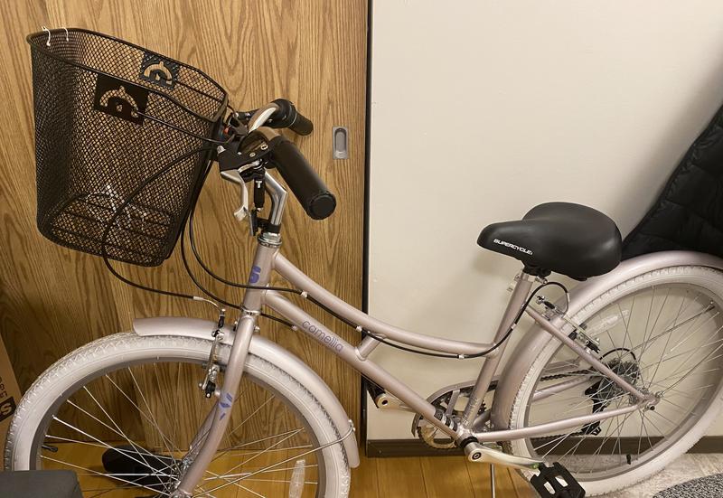 Canadian tire womens store bikes