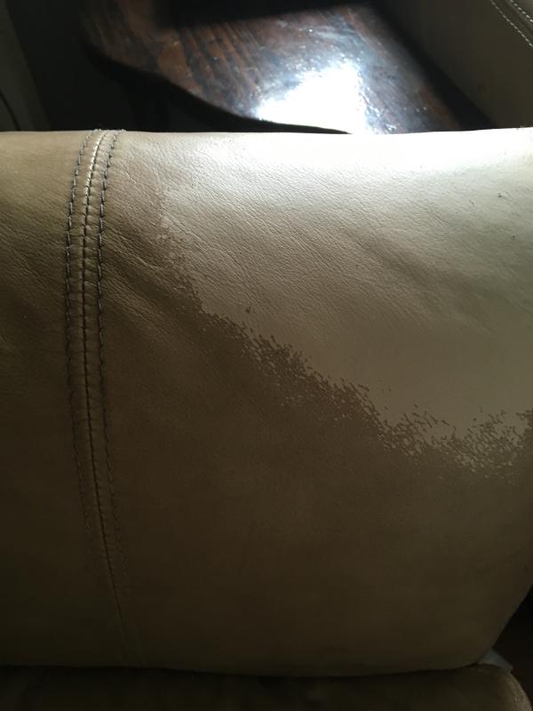 My ruined sofa