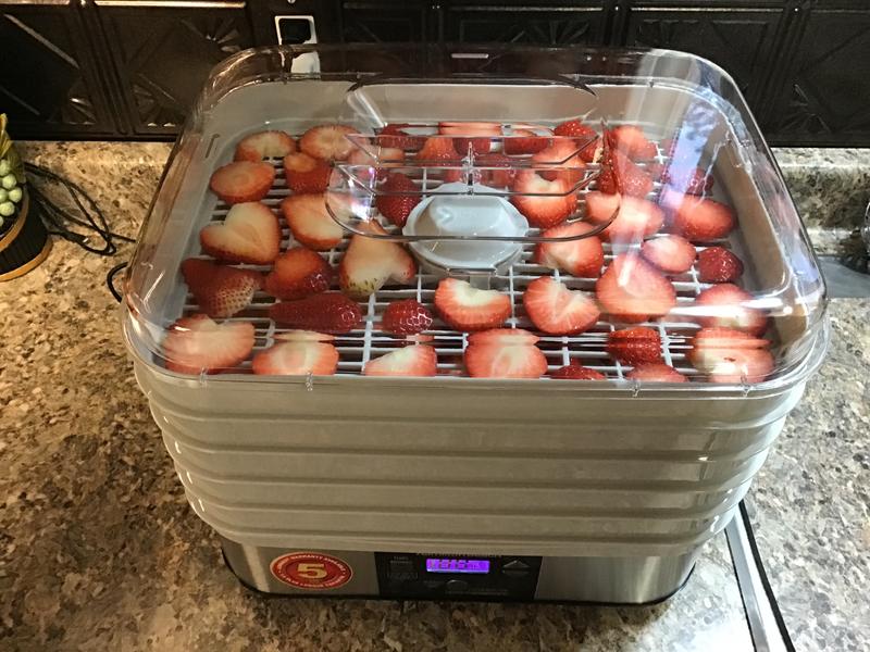 Hamilton Beach Food Dehydrator Reviews Best Sale