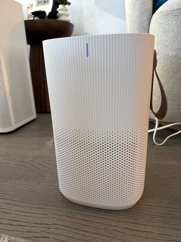 Photo - commentaire 2.