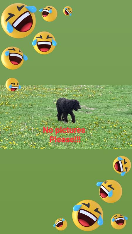 Photo - commentaire&nbsp;3.