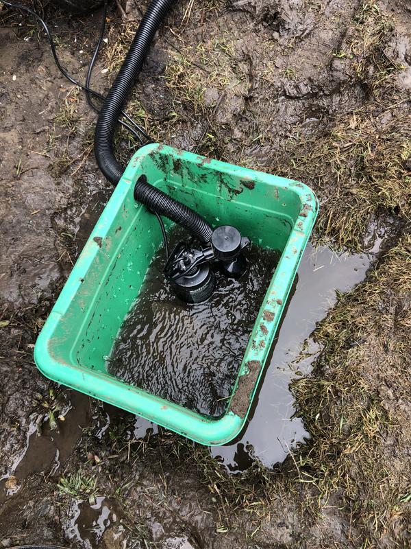 Photo - commentaire 1.