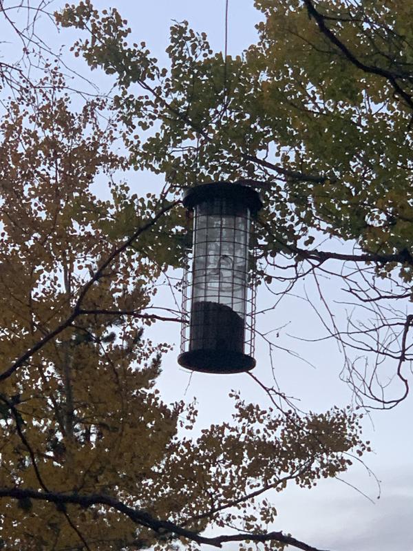 Photo - commentaire&nbsp;2.