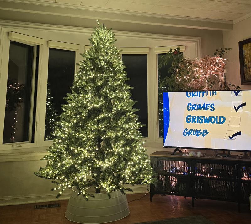 Photo - commentaire 3.