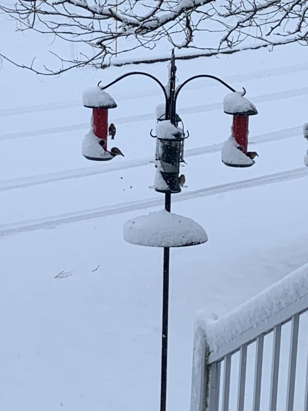 Photo - commentaire&nbsp;2.