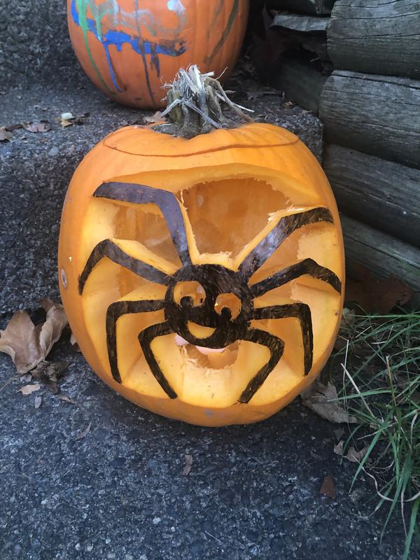 This is one of our pumpkins, like at how well that Sharpie Pro Marker drew on the spider on it.