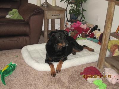 Photo - commentaire&nbsp;1.