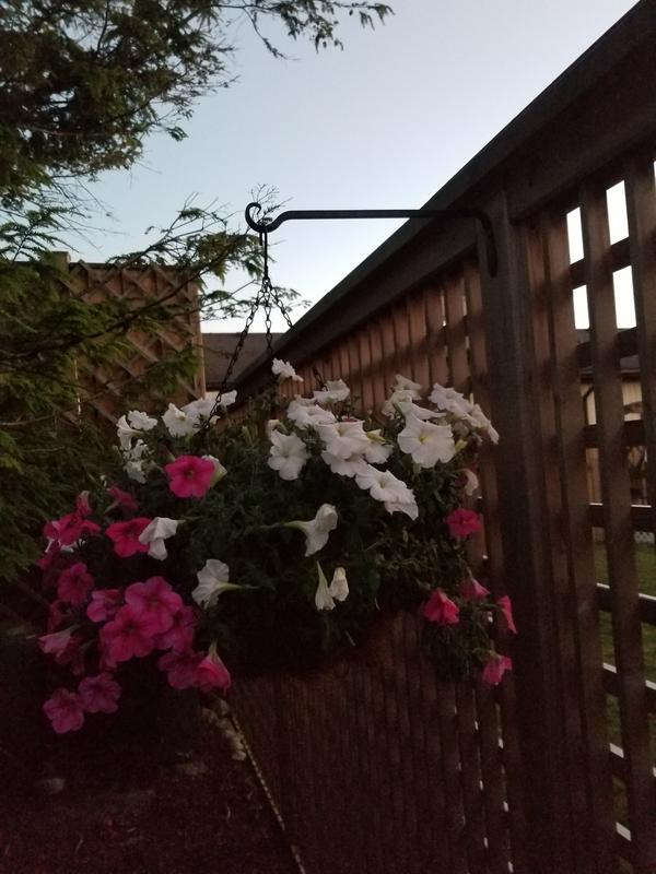 Photo - commentaire 1.