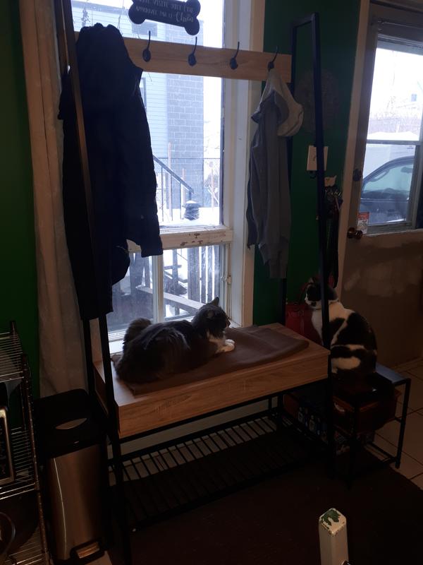 Photo - commentaire&nbsp;2.