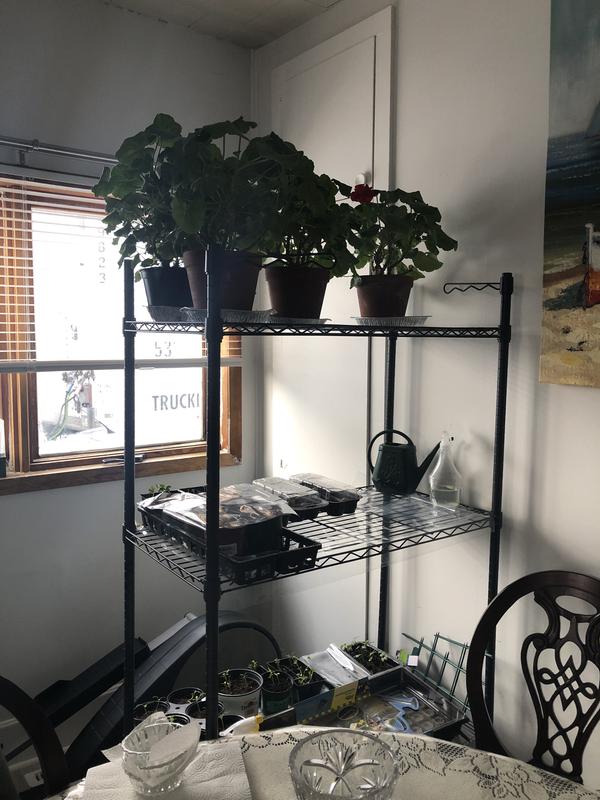 Photo - commentaire 7.