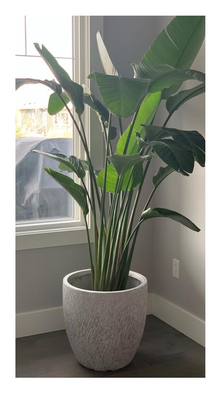 Photo - commentaire&nbsp;1.