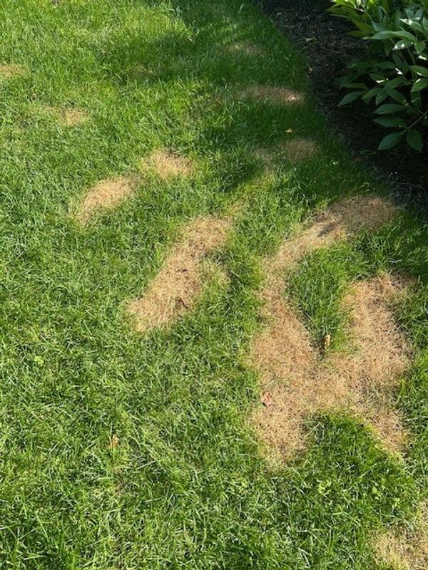 Photo - commentaire 3.