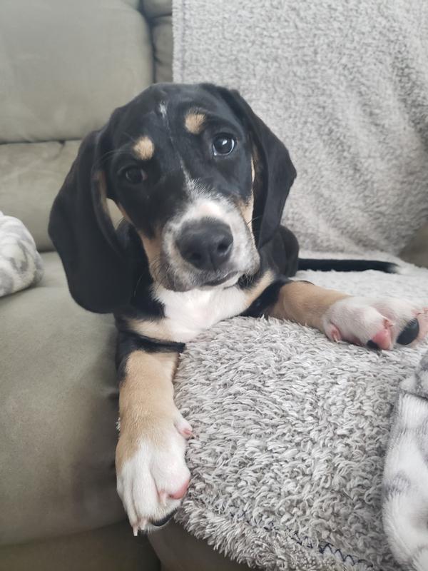 Photo - commentaire&nbsp;1.