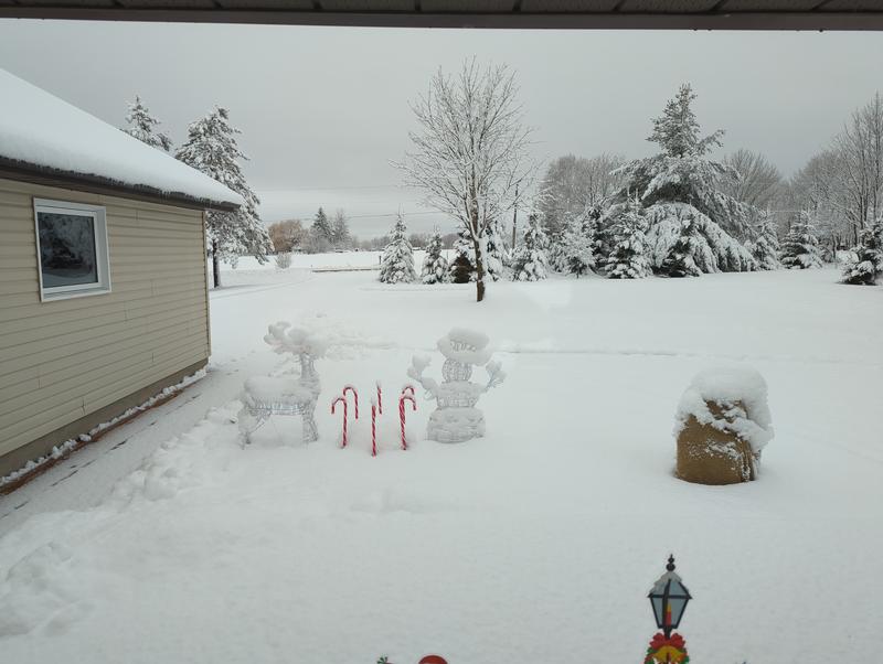 Photo - commentaire&nbsp;5.