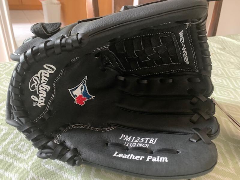 This is what the actual glove looks like.  The associate said the product must have changed since it originally launched.