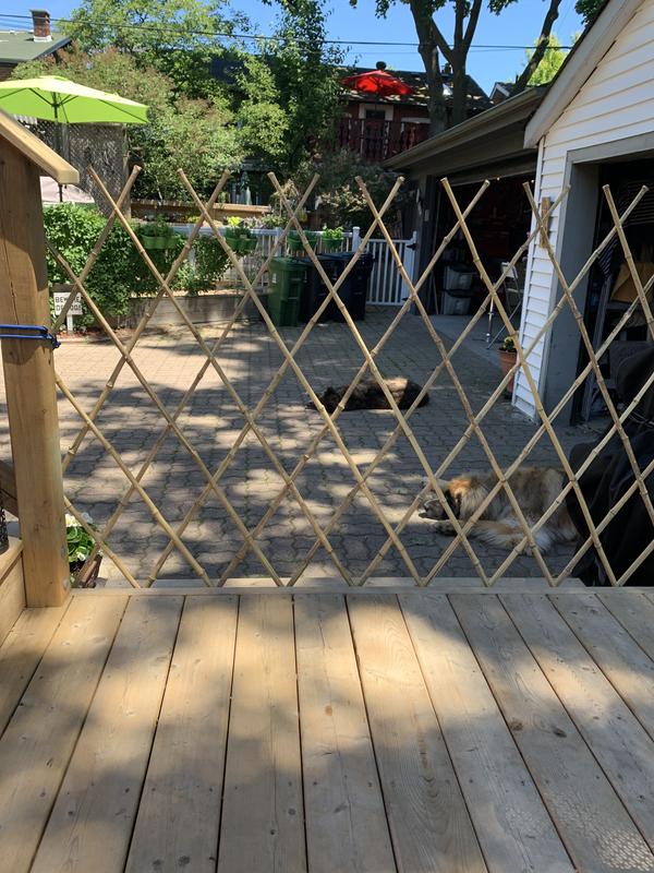 Keeps pets out of garden and restricts wandering.