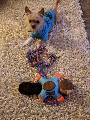 Photo - commentaire&nbsp;1.