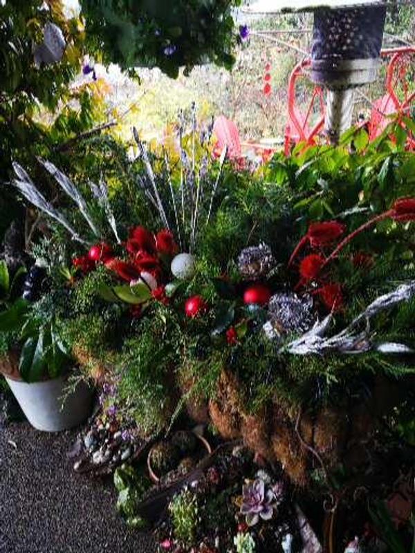 Photo - commentaire 4.