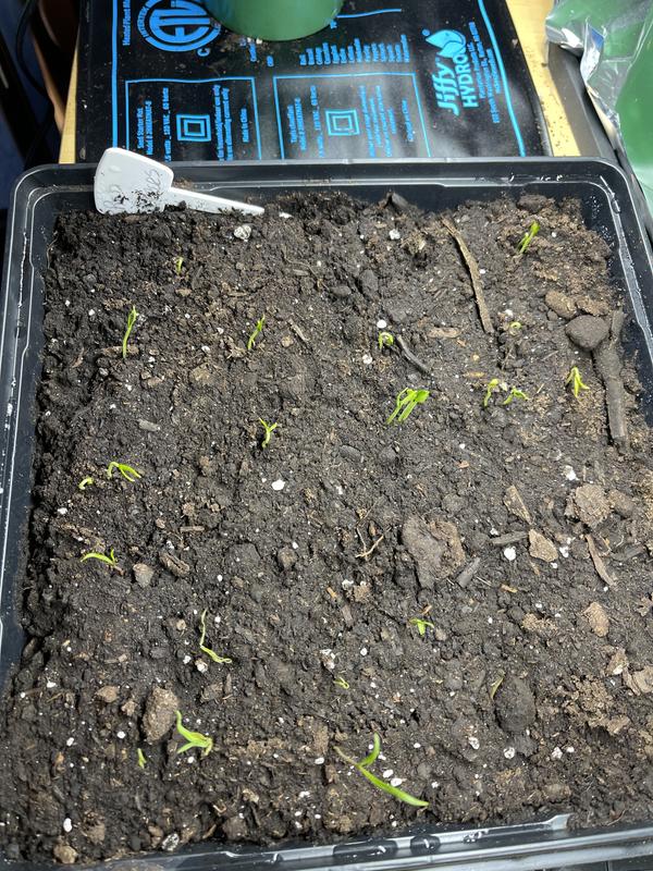 Photo - commentaire&nbsp;3.