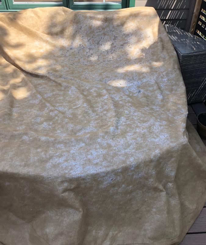 Photo - commentaire&nbsp;1.