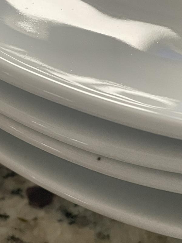 Photo - commentaire&nbsp;1.