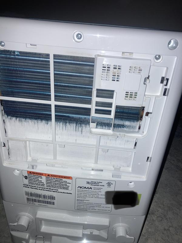 The 3rd one letting go today!