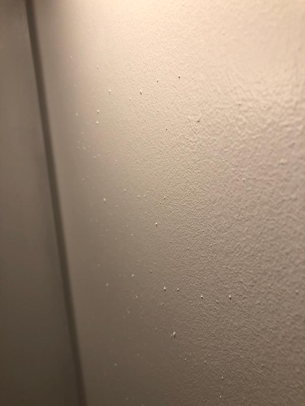 Photo - commentaire&nbsp;5.