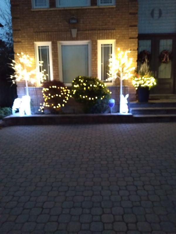 Photo - commentaire&nbsp;2.