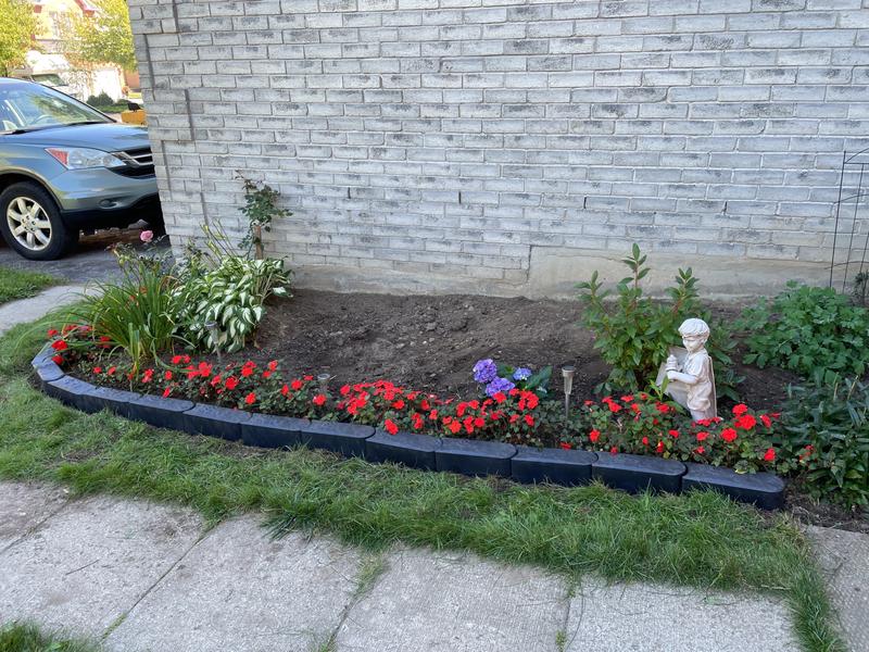 Photo - commentaire&nbsp;5.