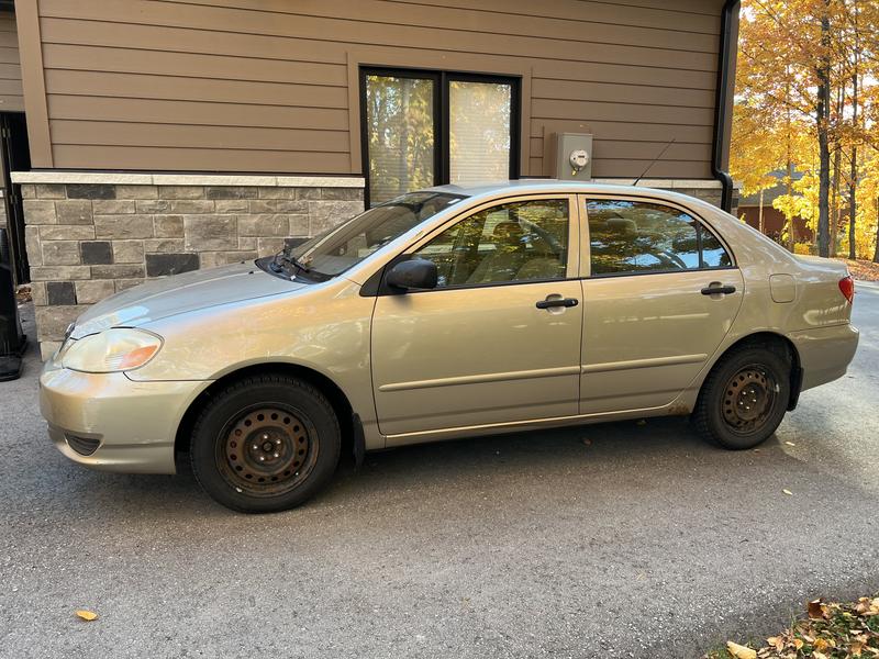 Photo - commentaire 1.