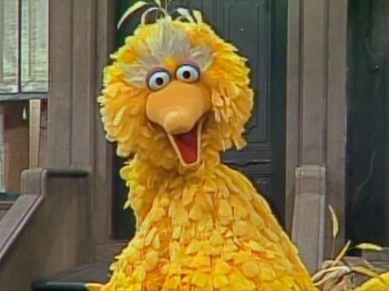 My thanksgiving dinner