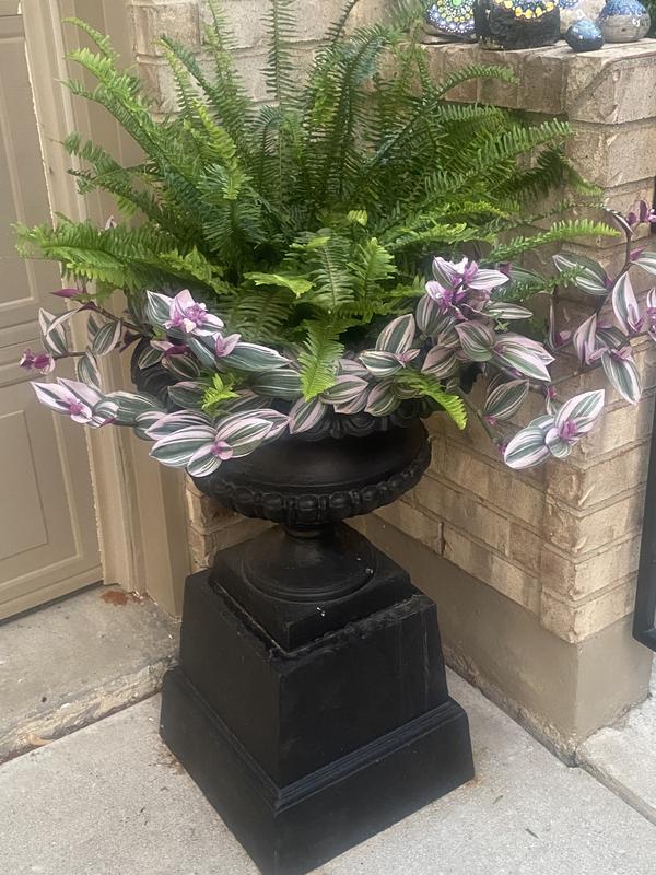 Photo - commentaire&nbsp;5.