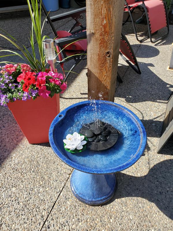 Photo - commentaire 8.