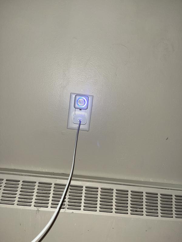 Photo - commentaire 2.